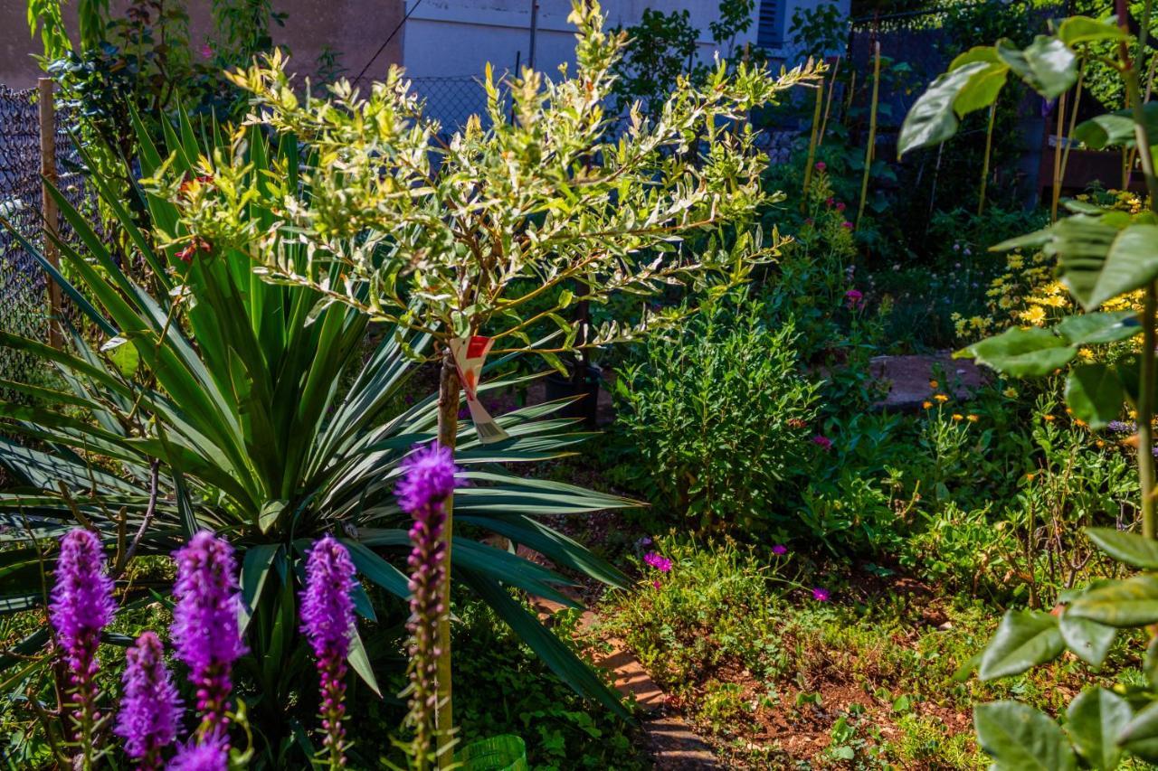 Villa Little Garden House Rijeka Exterior foto